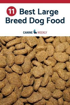 Best Large Breed Dog Food (Dry) - Read here and learn the best choices for meeting the special nutritional requirements for your large breed.  Best Large Breed Dog Food (Dry) - Read here and learn the best choices for meeting the special nutritional requirements for your large breed. Dog Food Recipes For Large Breeds, Best Puppy Food For Large Breeds, Best Dry Dog Food Brands, Iams Dog Food, Breeding Dogs, Best Dry Dog Food, Best Dog Food Brands, Large Breed Dogs, Pitbull Dogs