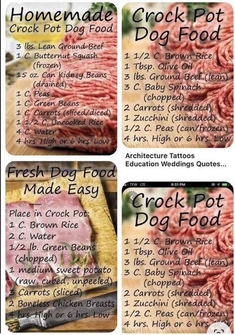 Homemade Ground Beef Dog Food Recipes, Dog Food Add Ins, Slow Cooker Dog Food Recipes, Food Ideas List, Crock Pot Dog Food, Dogs Food Recipes, Dog Food Recipes Easy, Dog Food Recipes Homemade, Dog Food Recipes Crockpot