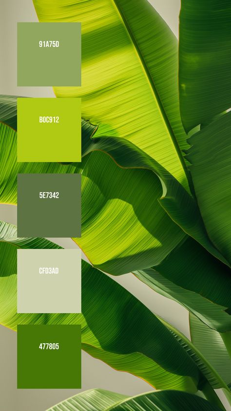 Colors:
91A75D ° B0C912 ° 5E7342 ° CFD3AD ° 477805

Wishing you the best of luck as you make something awesome with this palette. Please share and save this if you found it useful!⁣⁣⁣⁣⁣⁣⁣⁣⁣ Palm Green Color Palette, Nature Green Color Palette, Shade Of Green Palette, Fresh Green Color Palette, Banana Color Palette, Plants Color Palette, Sustainability Color Palette, Lime Green Colour Palette, Color Green Palette