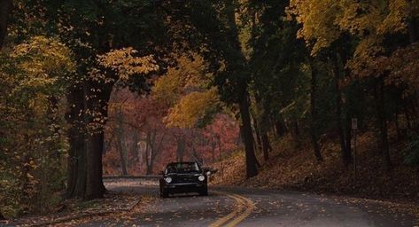 Leaves On The Ground, Fall Mood Board, Gilmore Girl, Autumn In New York, Fall Time, Season Of The Witch, Best Seasons, We Fall In Love, Autumn Cozy