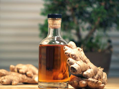 DIY Ginger Liqueur Ginger Liqueur Recipe, Homemade Booze, Homemade Liqueur, Liqueur Recipes, Homemade Liquors, Ginger Liqueur, Homemade Liquor, Liqueurs Recipes, Homemade Wine