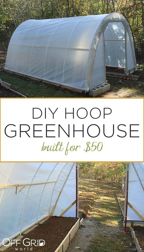 How to build a hoop greenhouse Hoop House Greenhouse, Hoop Greenhouse, Diy Hoop House, Greenhouse Projects, House Greenhouse, Cheap Greenhouse, Greenhouse Frame, Greenhouse Farming, Hoop House