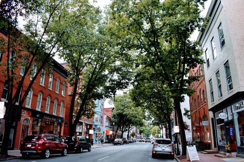 Travel Tip Thursday! ✈️ Top five things to do in the charming Frederick, Maryland! 1. 🏡 Stroll through the cobblestone streets of Historic Downtown Frederick lined with historic buildings, cozy cafes, and unique boutique shops like @musefrederick, @curiousiguana, @dbeartoys, and many more. 2. 🏛️ Dive into fascinating exhibits at the @civilwarmed! Learn about groundbreaking treatments and hear the stories of those who shaped medical history. 3. 🌳 Enjoy a walk along the beautifully landsca... Frederick Maryland, Cozy Cafe, Scenic Byway, Medical History, Plan Your Trip, Maryland, Road Trip, Street View, United States