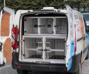 Dog Transport Van, Dog Transport Van Ideas, Dog Boarding Ideas, Dog Daycare Business, Dog Van, Dog Transport, Pitbull Dog Breed, Pet Taxi, Dog Trailer