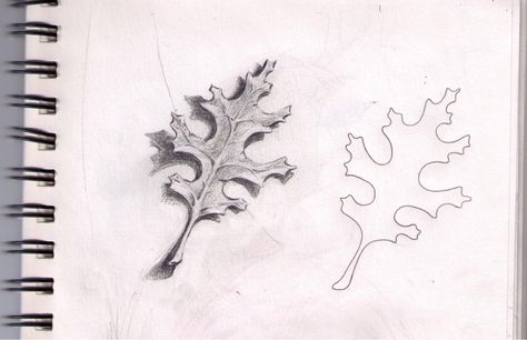 Line Quality, A Simple Drawing, Oak Leaf, Cool Drawings, Easy Drawings, Doodles, Drawings, Art