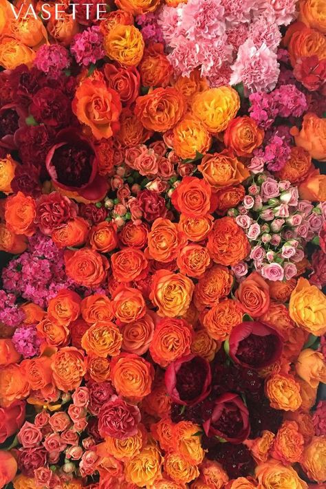 Red Orange Flowers Aesthetic, Red Pink And Yellow Bouquet, Red And Orange Garden, Bright Pink And Orange Aesthetic, Pink And Orange Flowers Aesthetic, Yellow And Orange Roses, Red Orange Yellow Flowers, Pink And Orange Flowers Wallpaper, Red Pink Orange Wedding