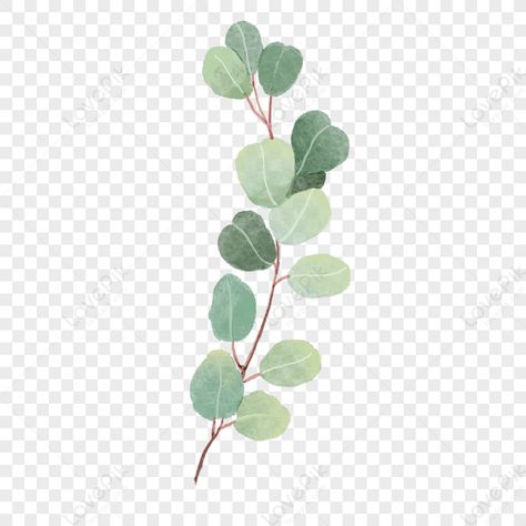 Wedding Plants, Eucalyptus Wedding, Watercolor Wedding, Green Plants, Plant Leaves, Plants, Green