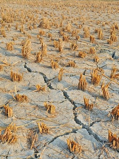 China's Looming Water Shortage Pollution Pictures, Data Illustration, Water Hat, Fun Phonics Activities, Food Poverty, Color Out Of Space, Lesson Plan Pdf, Water Shortage, Water Scarcity