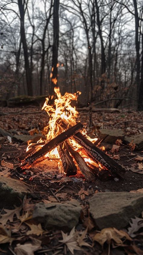 How to make a campfire: Stack the logs like tik tac toe, then place this fire starter i linked below them. Light it, and ta da! You've got a fire. This way makes the logs much more breathable! Log Fire Aesthetic, Camping Fire Aesthetic, Natural Wood Fireplace, Fire In The Woods, Van Life Aesthetic, Fire Camp, Camp Fires, Brand Moodboard, Camping In The Woods