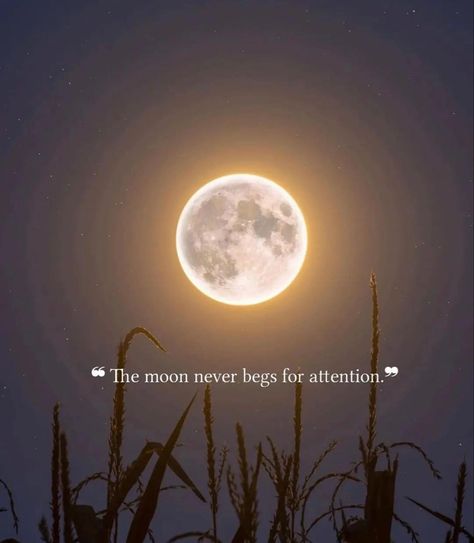 Moon And Star Quotes, Nature Photography Quotes, Just Happy Quotes, Self Inspirational Quotes, Cute Inspirational Quotes, Cute Images With Quotes, Life Quotes Pictures, Feel Good Quotes, Insightful Quotes