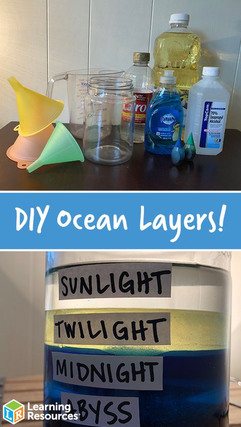 Learn about the layers of the ocean with this colorful and fun DIY Ocean Layers in a Jar! Ocean Science Experiments, Ocean Layers, Ocean Lesson Plans, Layers Of The Ocean, Ocean Zones, Ocean Habitat, Ocean Theme Preschool, Ocean Projects, Ocean Unit