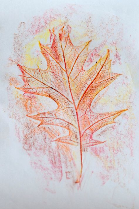 Crayon Leaf Rubbings: An autumn favorite - make leaves magically appear on paper! Leaf Rubbing, Leaf Rubbings, Leaf Projects, Fall Preschool, Color Crayons, Leaf Crafts, Senior Gifts, Autumn Crafts, Autumn Activities