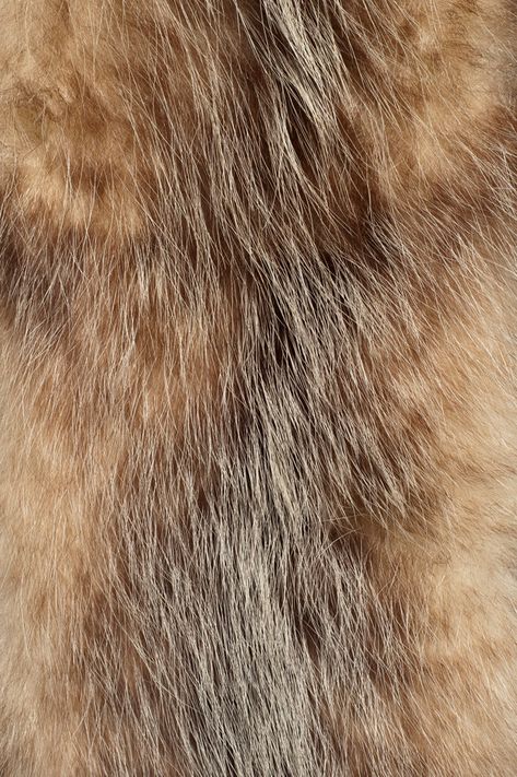 Fur Reference, Fur Aesthetic, Fur Material Fabrics, Fur Fabric Swatch, Animal Fur Texture, Fabric Fur, Fur Pattern, Fur Design, Texture Download