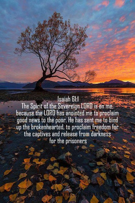 Isaiah 61:1 niv Isaiah 61 1-3, Isaiah 61, Scripture Memorization, Christian Pins, Biblical Verses, Inspirational Scripture, Bible Scripture, King Of Kings, Daily Devotional