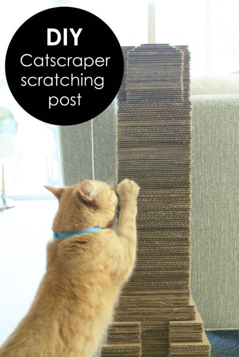 Cardboard Catscraper Diy Jouet Pour Chat, Diy Cat Scratching Post, Diy Chat, Kat Diy, Chat Diy, Cardboard Cat Scratcher, Diy Cat Toys, Cats Diy Projects, Homemade Cat