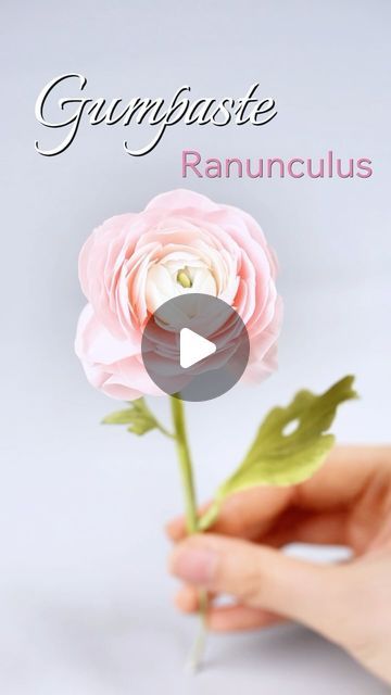 shaniabelle fondant on Instagram: "🌸Gumpaste Ranunculus: realistic flower tutorial This mold kit will give you a perfect finish every time. ✨Shop link in bio Feel free to contact me if you’re interested in this floral mold kit and veiner 💗✨  #floralart #floralgumpaste #bakingsupplies #qelegfondant #tutorial#flowercake #fondant #gumpasteflower #fondantflowers #inspo#tutorial#caketopper #tutorial #foodphotography #foodphotographyandstyling #reelsinstagram #foodgasm #tasty #dessert #video #inspiration #instagood #reels #cakeart #sugarart #cakeideas #LoveCelebration #BeautifulMoments #fondant #fondantcakesph#cutecake" Gumpaste Flowers Tutorial, Gum Paste Flowers Tutorials, Gumpaste Flowers, Tasty Dessert, Video Inspiration, Gum Paste Flowers, Fondant Flowers, Mold Kit, Sugar Art