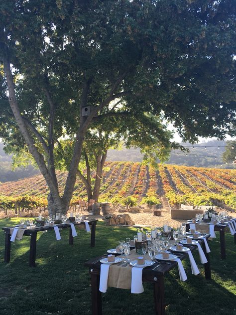 Classy Vineyard Wedding, Wine Yard Aesthetic, Wine Yard Wedding, Small Vineyard Wedding, Vineyard Wedding Aesthetic, Italian Vineyard Wedding, Wine Farm Wedding, Vineyard Wedding Reception, Wedding Winery