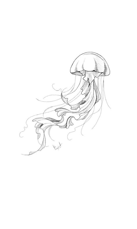 Jellyfish Black And White Drawing, Mini Sea Animal Tattoos, Body Side Tattoo For Women, Medusa Aesthetic Tattoo, Jellyfish Small Tattoo, Jellyfish Outline Tattoo, Dainty Jellyfish Tattoo, Jellyfish Line Drawing, Fineline Jellyfish Tattoo