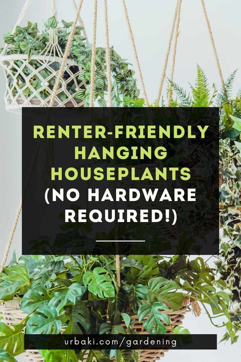 Hanging Plants Apartment Friendly, Hanging Plants Indoor Renter Friendly, Rent Friendly Plant Hanging, Plant Wall Renter Friendly, Apartment Friendly Plant Wall, Tension Rod For Plants, Apartment Friendly Plant Hanging, How To Hang Plants Without Drilling, Plants Instead Of Curtains