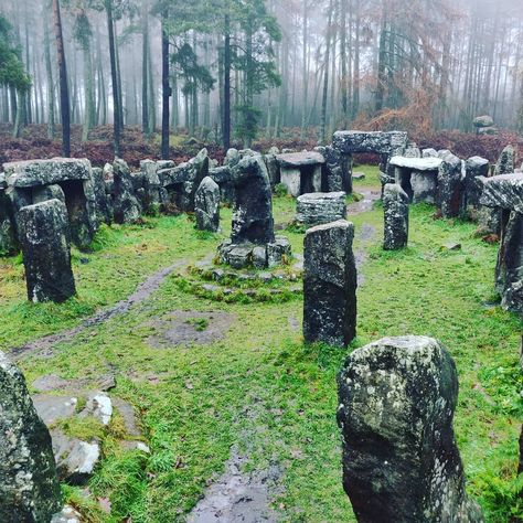 Fenisel on Instagram: “Visiting the Druids Temple in Ripon  #druid #druidtemple #oldreligion #uk #witch #pagan #paganuk #witchuk #witches #forest #oldforest…” Elf Druid Aesthetic, Druid Astethic, Spore Druid Aesthetic, Circle Of Spores Druid Aesthetic, Celtic Druid Aesthetic, Norse Druid, Druid Aesthetic Dnd, Druid Grove, Spores Druid