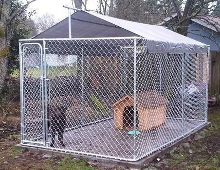 (paid link) Check out our range of dog kennel ideas outdoor products at your local Warehouse. Visit today for the widest range of Pet Enclosures & Structures products. Dog Kennel Roof Ideas, Diy Dog Kennel Cover, Dog Kennel Furniture Diy, Dog Kennel Roof, Diy Dog Run, Kennel Ideas Outdoor, Dog Kennel Designs, Dog Kennel Cover, Dog Kennel Furniture