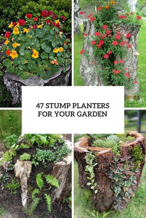 Picture of Stump Planters For Your Garden Tree Stump Ideas Outdoor, Tree Stump Ideas, Halloween Ceiling, Stump Ideas, Tree Stump Planter, Garden Cover, Halloween Haunted House Decorations, Tree Stumps, Farmhouse Halloween