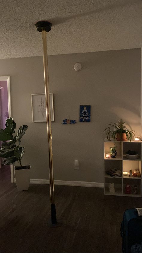 Room With Pole, Pole In Living Room Ideas, Pole In Room, Bedroom With Stripping Pole, Pool Room Aesthetic, Pole Room At Home, At Home Strip Pole Room, Pole In Apartment, Pole Room Aesthetic