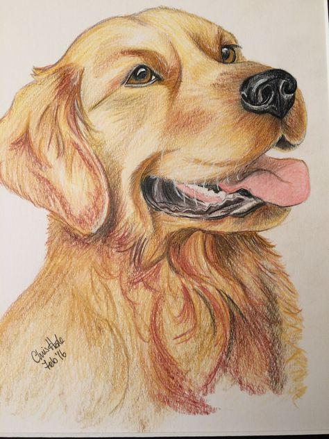 Dairy Drawing, Coloured Drawings, Animal Sketches Easy, Golden Retriever Drawing, Jing Y Jang, Easy Scenery Drawing, Color Pencil Sketch, Realistic Sketch, Watercolor Paintings Nature