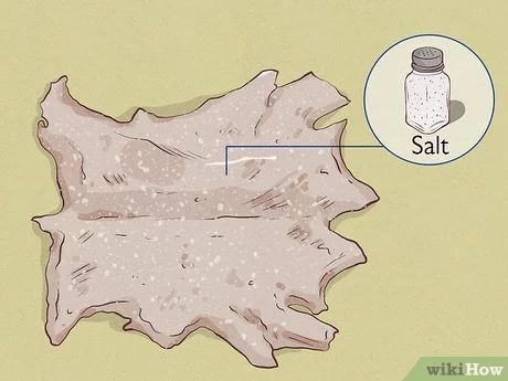 How to Tan a Hide: 2 Foolproof Methods Hide Tanning Diy, Tanning Deer Hide, Hide Tanning, Cow Hyde, Diy Tanning, Tanning Hides, Raising Rabbits For Meat, Angora Bunny, Hunting Crafts