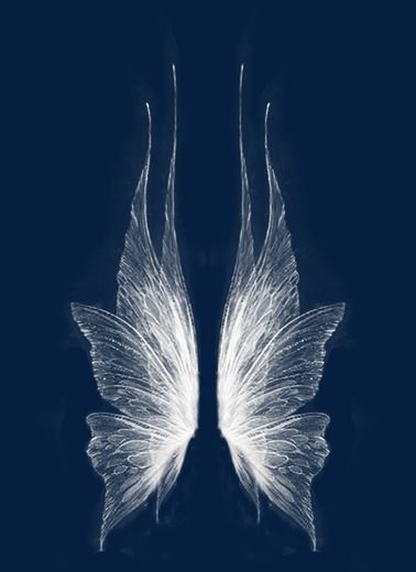 Fairy Wings Drawing, Wm Logo, Wings Drawing, Ange Demon, Wings Art, Fairy Aesthetic, Wings Tattoo, Arte Inspo, Fairy Wings