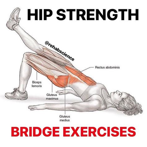 🚨 Glute Bridges 🚨  Another great post by Tom (@rehabscience) for building strong hips! ___________________  Whether discussing general fitness or rehab programming, the bridge exercise is an excellent choice for building hip extensor (gluteals & hamstrings) strength.  If you are looking for new options to add to your gym program or wondering about exercises that could be used to combat low back, hip and knee pain, swipe left to see the variations I have in this post. . 1️⃣Standard Bridge 2️⃣Co Leg Raise, Bridge Workout, Core Strengthening Exercises, Gluteal Muscles, Gluteus Medius, Donkey Kicks, Strengthen Core, Squat Workout, Calf Raises