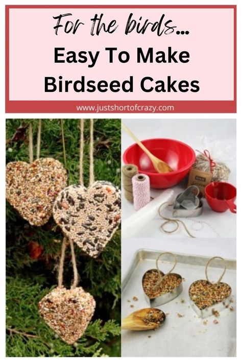 Bird Seed Cakes, Bird Seed Crafts, Bird Seed Ornaments Recipe, Bird Seed Favors, Bird Feeders For Kids To Make, Make A Bird Feeder, Suet Cakes, Feed The Birds, Bird Feeder Craft