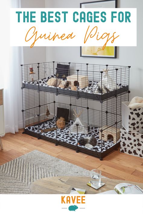 Indoor Guinea Pig Cage, Cavy Cage, Guinea Pig Run, Guine Pig, Pig Habitat, Diy Guinea Pig Cage, Guinea Pig Cages, Guinea Pig Diy, Guinea Pig Hutch