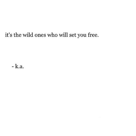 Wild 😜 Deep Meaningful Quotes, Quote Inspirational, Quote Life, I'm With The Band, Wild One, Wild Ones, Motivational Quote, A Quote, Poetry Quotes