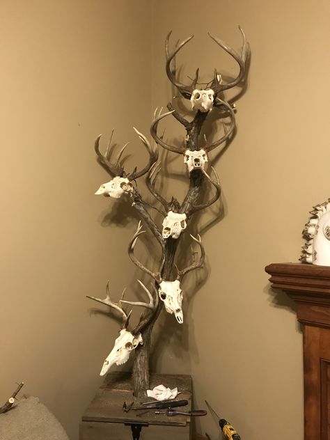 Guess, Ted, Jimmy, Fred, Elliot How To Display European Mounts, Deer Skull Mount Display, Deer Horn Decor Ideas, Antler Mount Diy, Diy Deer Antler Mount, European Mount Decor, Euro Mount Ideas, Decorating With Deer Mounts, European Deer Mount Ideas