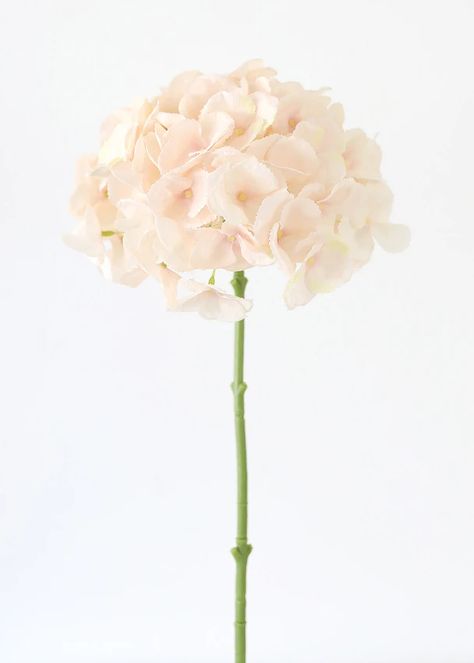 Silk Flowers with Oversized Blooms | Hydrangea Stem in Blush | Afloral — Afloral.com Diy Flower Projects, Centerpiece Vases, Fake Hydrangeas, Diy Bridal Bouquet, Pink Lily Boutique, Artificial Plants Outdoor, Silk Hydrangeas, Artificial Hydrangeas, Artificial Flowers Wedding