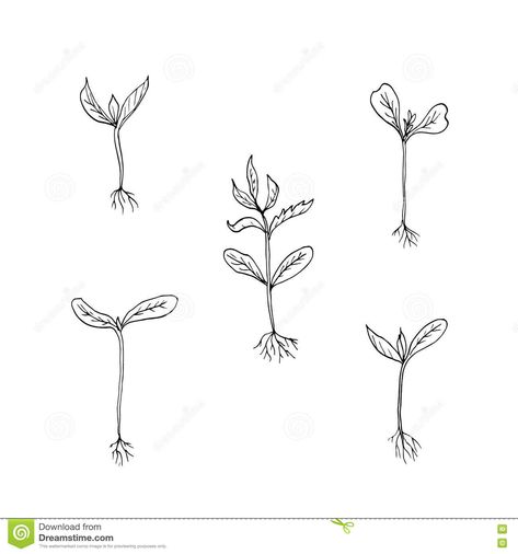 Tiny Potted Plant Tattoo, Seedling Tattoo Simple, Simple Plant Tattoos For Women, Sprout Tattoo Plant, Plant Growing Tattoo, Plant Sprout Tattoo, Plant Propagation Tattoo, Growing Plant Tattoo, Planting Tattoo