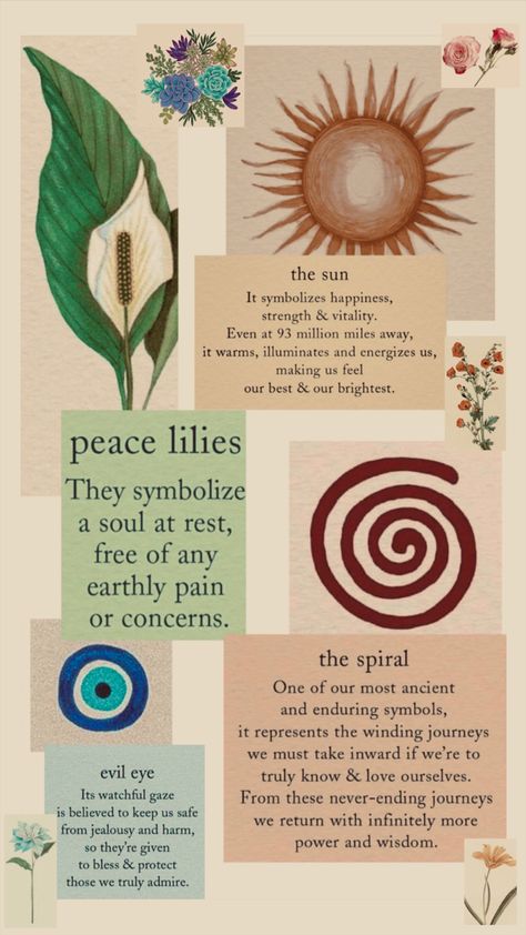 Peace Lily Spiritual Meaning, Peace Lily Wallpaper, Peace Lily Meaning, Peace Lily Aesthetic, Lilies Meaning, Peace Lily Tattoo, Plant Symbolism, Lily Meaning, Plant Meanings