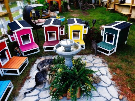 Woman Transforms Her Passion For Helping Abandoned And Feral Cats Into Catville - Cole & Marmalade Cat Houses, Feral Cat Shelter, Feral Cat House, Cat House Diy, Outdoor Cat House, Feral Cat, Outdoor Shelters, Cat Sanctuary, Chicken Garden