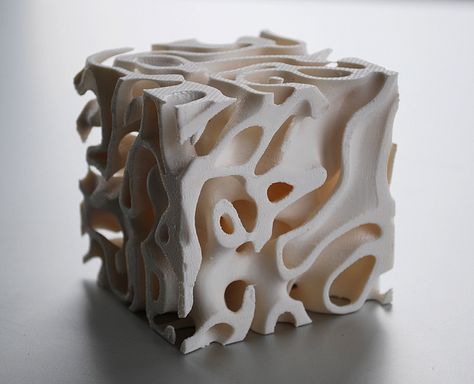 reaction diffusion cube by mi ha, via Flickr Reaction Diffusion, Organic Sculpture, Organic Structure, 3d Printing Art, Plaster Sculpture, Concrete Sculpture, Generative Design, Tanah Liat, Parametric Design