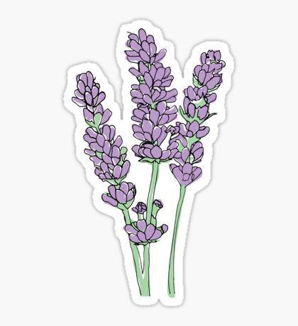 Pegatina Ilustración de Lavanda Lavender Illustration, Seni Resin, Citate Harry Potter, Stickers Cool, Homemade Stickers, Cute Laptop Stickers, Bubble Stickers, Stickers Kawaii, Tumblr Stickers