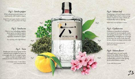 Roku Gin, Gyokuro Tea, Sakura Mochi, Sencha Tea, Premium Gin, Gin Tasting, Craft Gin, Ice Cake, Japanese Craft