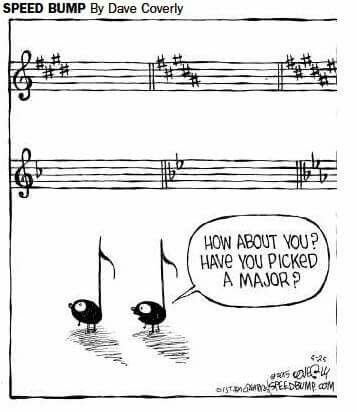 I choose E flat Orchestra Humor, Musician Jokes, Musical Jokes, Music Puns, Musician Humor, Music Funny, Band Jokes, Music Cartoon, Music Jokes