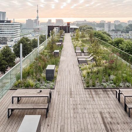 Rooftop Grass Garden, Roof Garden Landscape Architecture, Green Roof Balcony, Rooftop Landscape Architecture, Roof Gardens Design, Communal Garden Architecture, Living Roof Garden, Rooftop Garden Floor Plan, Green Roof Terrace