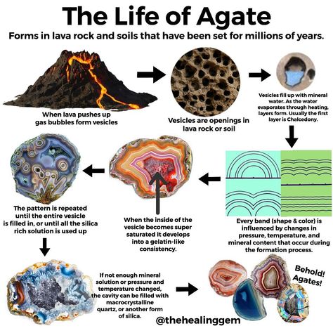 Rock And Crystal Crafts, Oregon Agates, Geology Rocks Mineral, Types Of Rocks, Rock Identification, Gemstones Chart, Rock Collecting, Rock Tumbling, Agate Rocks