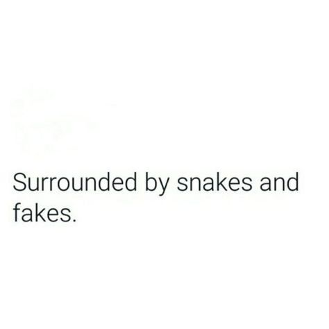 🖤surrounded by snake's and fakes 👽👻☠ Quotes For Snake People, Quotes About People Being Snakes, Surrounded By Snakes Quotes, Everyone’s Fake Quotes, Snake Captions, Relative Quotes Families, Snake Friends Quotes, Snake Quotes People, Fake People's Quote