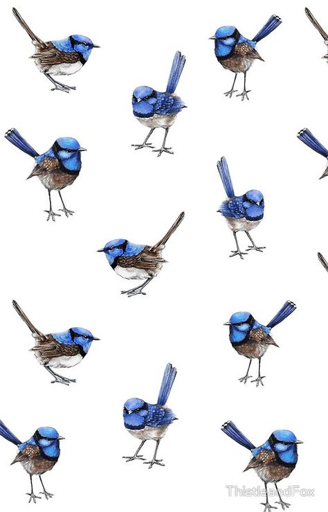 Blue Wrens, Scattered on White Blue Fairy Wren Tattoo, Blue Bird Art Painting, Blue Wren Tattoo Black And White, Blue Wren Mosaic, Blue Fairy Wren, Blue Wren Drawing, Blue Wren Painting, Fairy Wren Tattoo, Blue Wren Tattoo