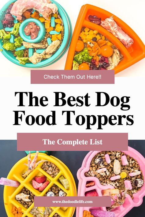 Healthy Dog Dinner, Healthy Add Ins For Dog Food, Good Things To Add To Dog Food, Things To Add To Dog Food, Dog Food Enhancer, Best Dog Food Toppers, Healthy Dog Food Add Ins, Homemade Food Topper For Dogs, Dog Topper Food