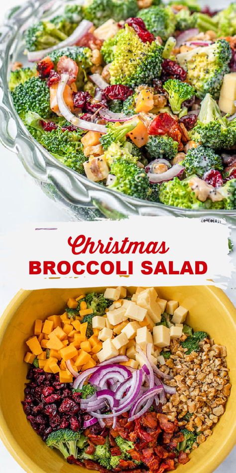 Christmas Broccoli Salad Recipes, Holiday Broccoli Salad, Broccoli Salad With Poppyseed Dressing, Holiday Broccoli Recipes, Winter Broccoli Salad, Christmas Broccoli Salad, Christmas Cold Side Dishes, Cold Broccoli Salad Recipes, Winter Potluck Ideas