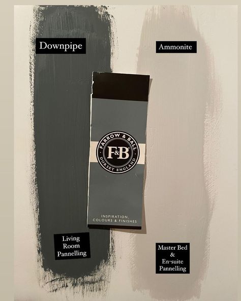 The Barrons on Instagram: “Got Some Paint Testers Today After Doing Lots Off Research On Here on Farrow and Ball Paints I Came Home With Down Pipe & Ammonite For…” Farrow And Ball Downpipe Exterior, Down Pipe Paint Color, Downpipe Farrow And Ball, Ammonite Paint, Ammonite Farrow And Ball, Home Wall Colour, Pond Painting, Studio Green, Farrow And Ball Paint